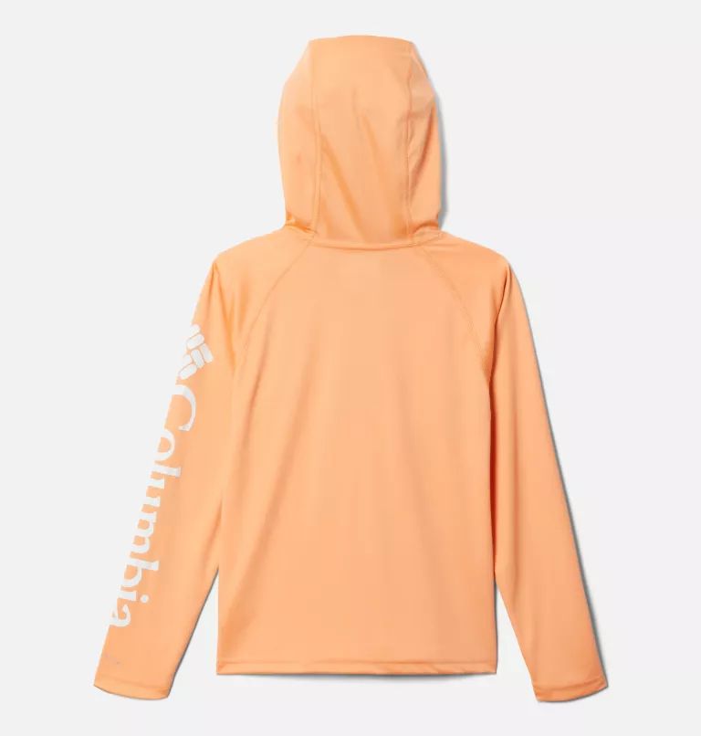 PFG