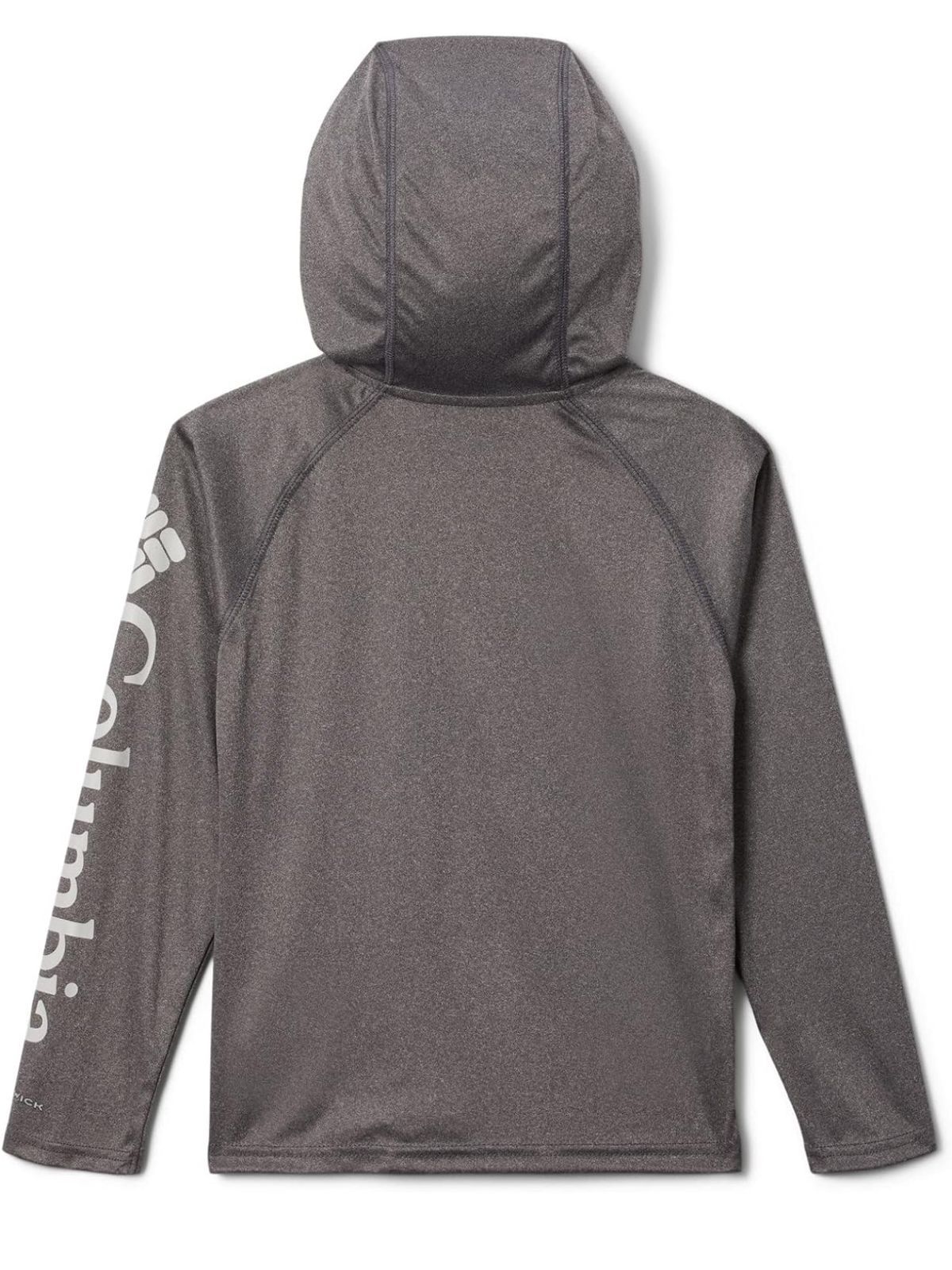 PFG GRIS HOODIE2