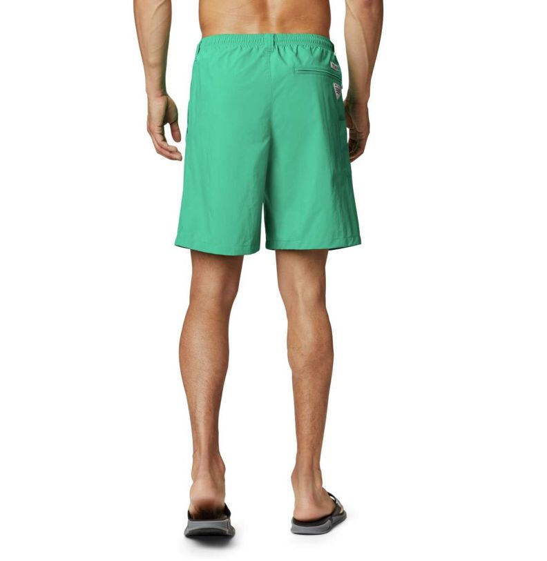 BACKCAST SHORT VERDE2